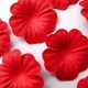 Paper Flowers - Red