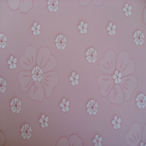 http://www.jjdcards.com/store/1641-2282-thickbox/daisies-pink.jpg