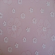 Daisies - Pink
