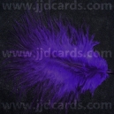 Prurple Feathers - Assorted Sizes