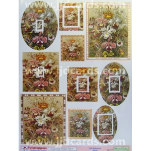 http://www.jjdcards.com/store/2492-3223-thickbox/inside-out-flowers.jpg