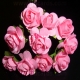 Paper Tea Roses - Pink