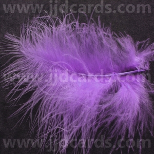 http://www.jjdcards.com/store/287-1668-thickbox/lilac-feathers-assorted-sizes.jpg