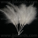 Long Stemmed Feathers - White