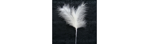 Short Stemmed Feathers