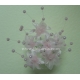 Babys Breath - Baby Pink