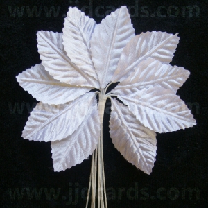 https://www.jjdcards.com/store/1124-1833-thickbox/leaves-white-satin.jpg