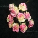 Paper Tea Roses - Pink & Cream