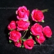 Paper Tea Roses - Fuschia
