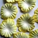 Paper Flowers - Lemon & White