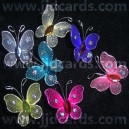 Butterflies - Assorted Colours