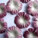 Paper Flowers - Burgundy & White