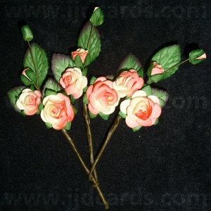 https://www.jjdcards.com/store/1939-2631-thickbox/paper-tea-roses-with-leaves-cream-peach.jpg