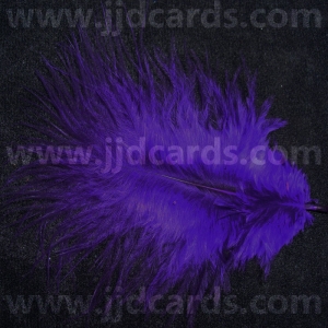 https://www.jjdcards.com/store/1946-2638-thickbox/purple-feathers-assorted-sizes.jpg