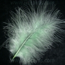 Light Green Feathers - Assorted Sizes