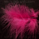 Cerise Feathers - Assorted Sizes