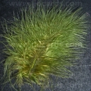 Moss Green Feathers - Assorted Sizes