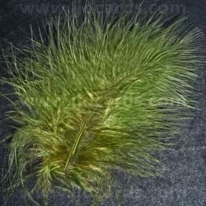 https://www.jjdcards.com/store/1950-2642-thickbox/moss-green-feathers-assorted-sizes.jpg