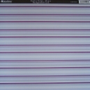 Festive Stripe - Mauve