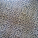 Safari Collection - Mirage Leopard