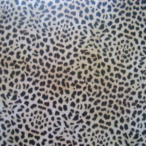 https://www.jjdcards.com/store/2242-2952-thickbox/safari-collection-mirage-leopard-acetate.jpg