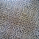 Animal Print Acetate - Mirage Leopard 