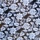 Glittered Acetate - Textile Collection - Tudor - White