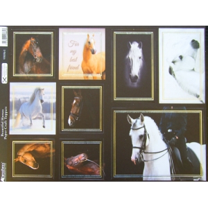 https://www.jjdcards.com/store/2762-3515-thickbox/beautiful-horses.jpg