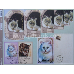 https://www.jjdcards.com/store/2818-3571-thickbox/feline-friends-fluffy-felines.jpg