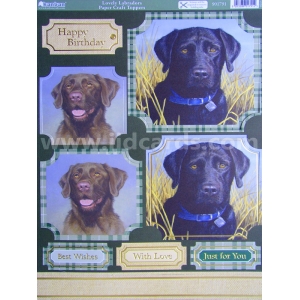 https://www.jjdcards.com/store/2822-3575-thickbox/its-a-dogs-life-lovely-labradors.jpg