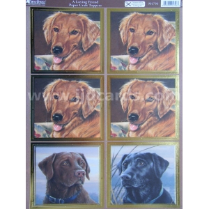 https://www.jjdcards.com/store/2824-3577-thickbox/its-a-dogs-life-a-loving-friend.jpg