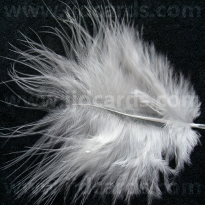 https://www.jjdcards.com/store/284-1664-thickbox/ivory-feathers-assorted-sizes.jpg