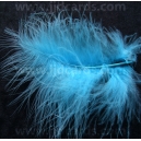 Baby Blue Feathers - Assorted Sizes