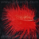 Red Feathers - Assorted Sizes