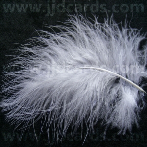 https://www.jjdcards.com/store/290-1671-thickbox/white-feathers-assorted-sizes.jpg