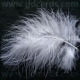 White Feathers - Assorted Sizes