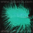 Turquoise Feathers - Assorted Sizes