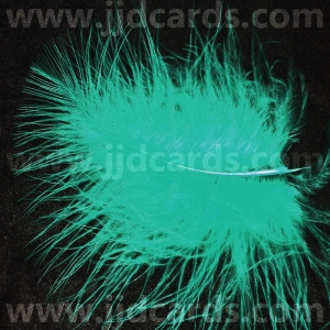https://www.jjdcards.com/store/300-1667-thickbox/turquoise-feathers-assorted-sizes.jpg
