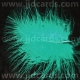 Turquoise Feathers - Assorted Sizes