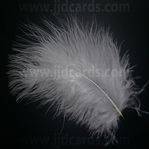 https://www.jjdcards.com/store/3079-3890-thickbox/silver-grey-feathers-assorted-sizes.jpg