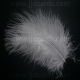 Silver Grey Feathers - Assorted Sizes
