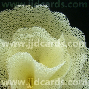 https://www.jjdcards.com/store/330-1594-thickbox/fine-mesh-scalloped-edge-lemon.jpg