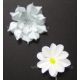 Single Multi Flower & Calyx - 048