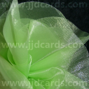 https://www.jjdcards.com/store/338-1611-thickbox/organza-circles-apple.jpg