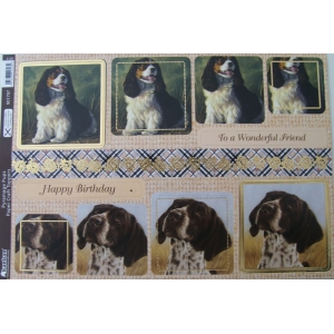 https://www.jjdcards.com/store/3891-5695-thickbox/its-a-dogs-life-pyramage-pups.jpg