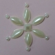 Pearl - Star Flowers