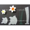 BRITANNIA DIES - SMALL & MEDIUM DAFFODIL WITH LEAVES