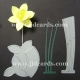 BRITANNIA DIES - LARGE DAFFODIL WITH LEAVES