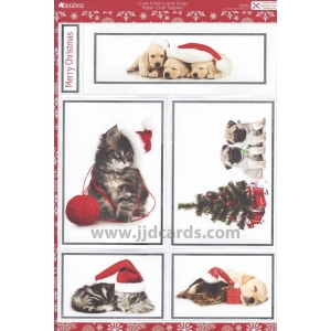 https://www.jjdcards.com/store/4090-5994-thickbox/kanban-cute-kittens-and-dogs.jpg