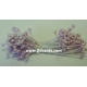 Stamens - Lilac
